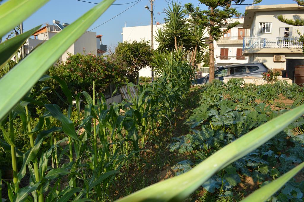 Thegaia Studios Rethymno  Exterior photo